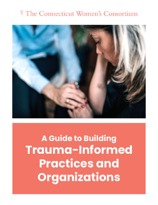 building-trauma-informed-practices-and-organizations-cover-510x660